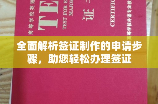 建平全面解析签证制作的申请步骤，助您轻松办理签证