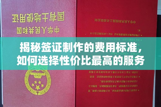 建平揭秘签证制作的费用标准，如何选择性价比最高的服务？