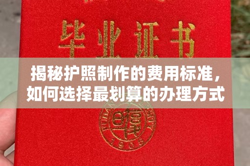 建平揭秘护照制作的费用标准，如何选择最划算的办理方式？