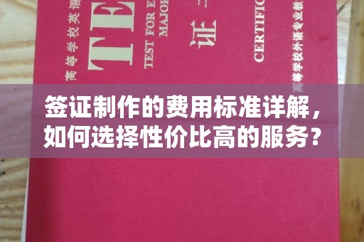 建平签证制作的费用标准详解，如何选择性价比高的服务？