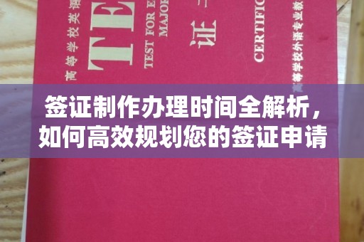 建平签证制作办理时间全解析，如何高效规划您的签证申请流程