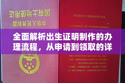 建平全面解析出生证明制作的办理流程，从申请到领取的详细指南